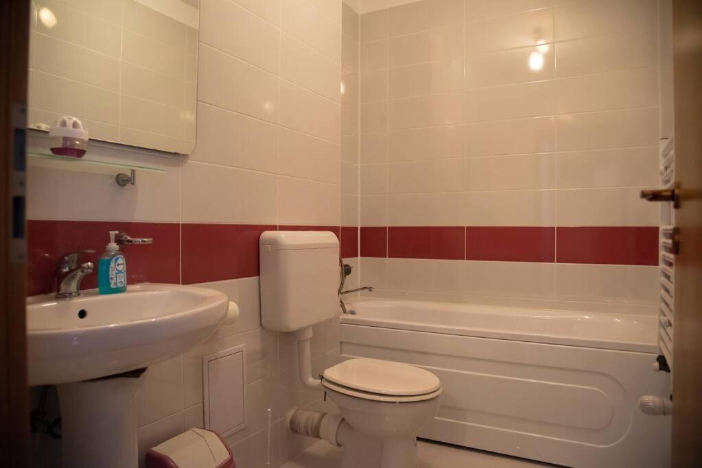 Apartament Cu 1 Camera Pentru Un Sejur Minunat Brasov Ngoại thất bức ảnh